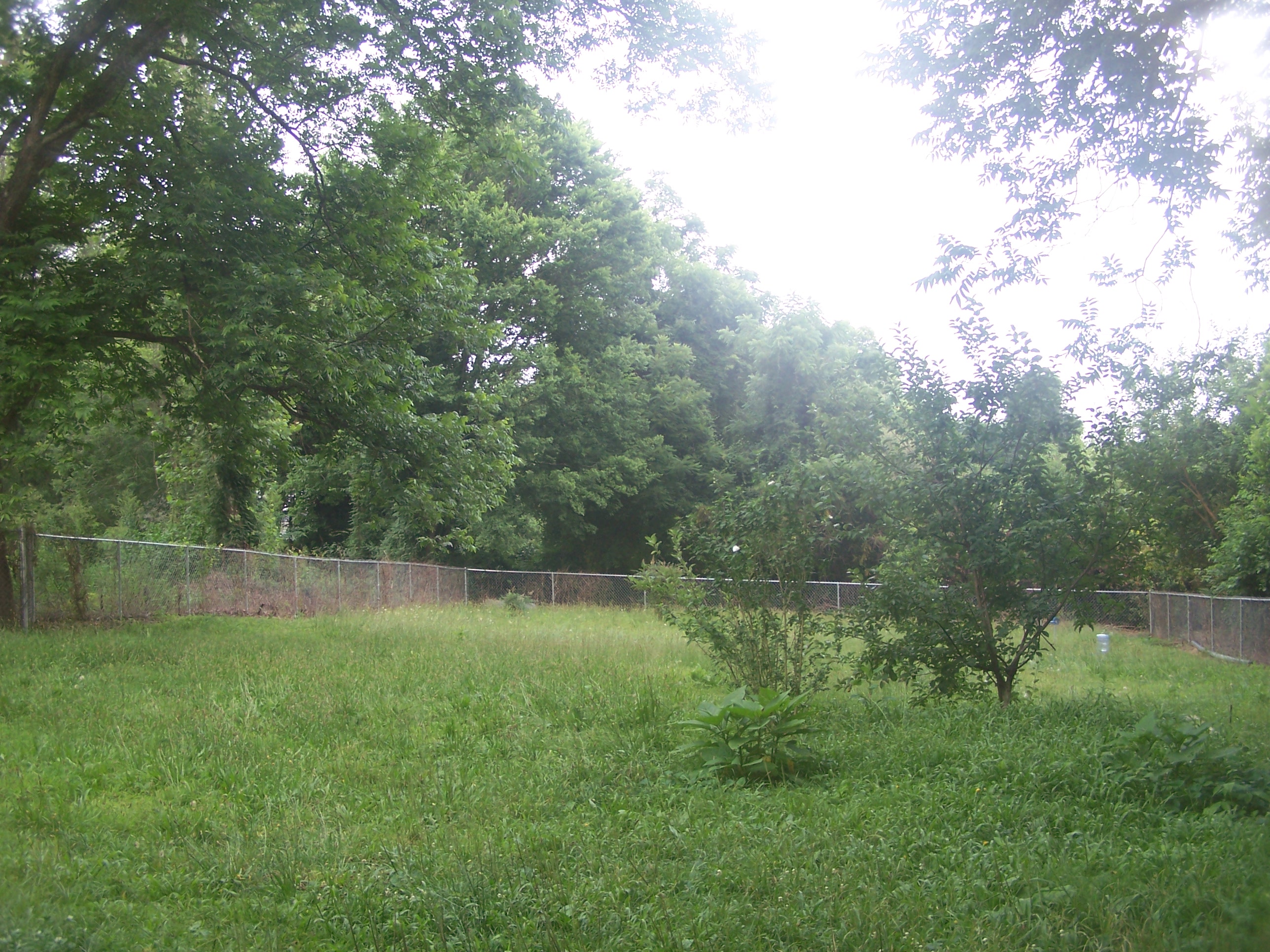 bungalow 404 backyard before