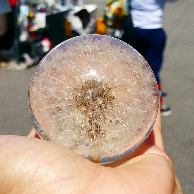 A lot of our friends seemed to dig this Dandelion paperweight the most! 